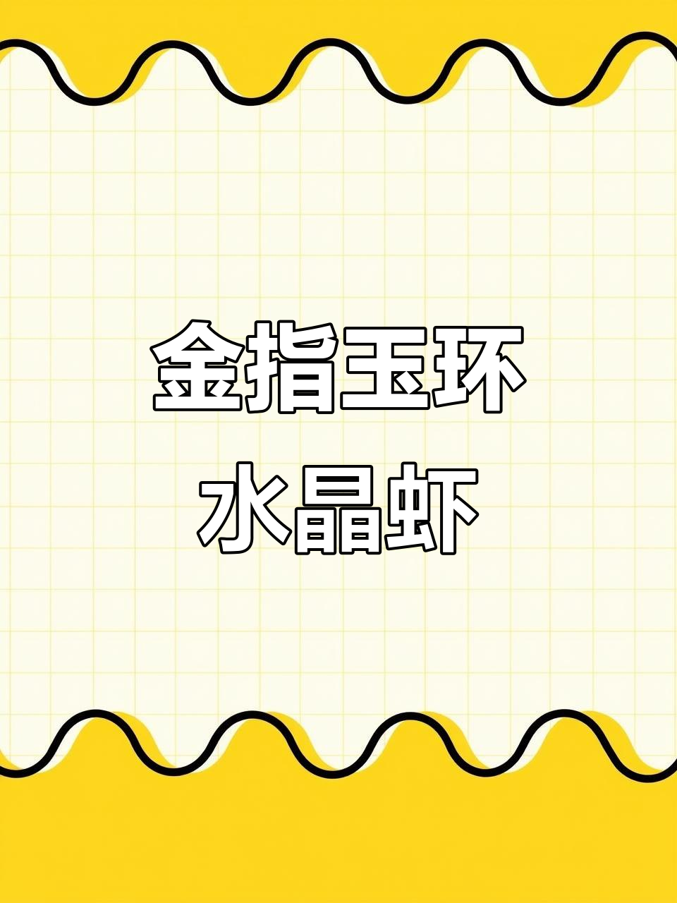 郑州探味工作室:金指玉环水晶虾,美味大揭秘