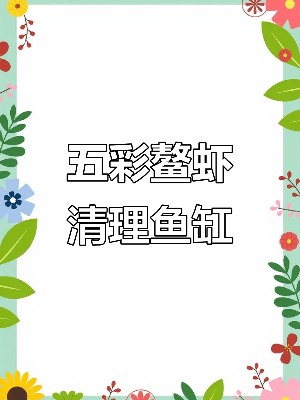 五彩鳌虾：鱼缸清洁小恶魔，帮你搞定水质问题