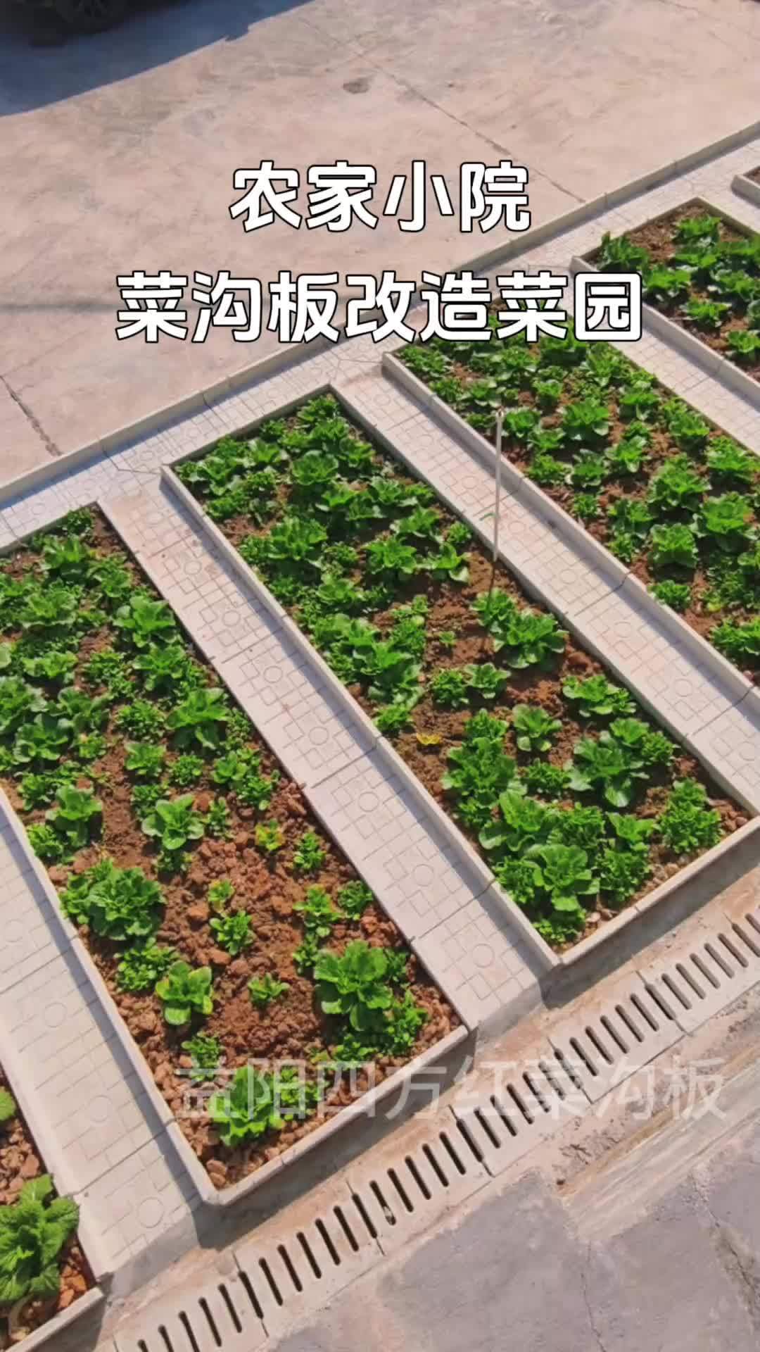 菜沟板 农村菜园设计 菜园 我的田园生活 小菜园