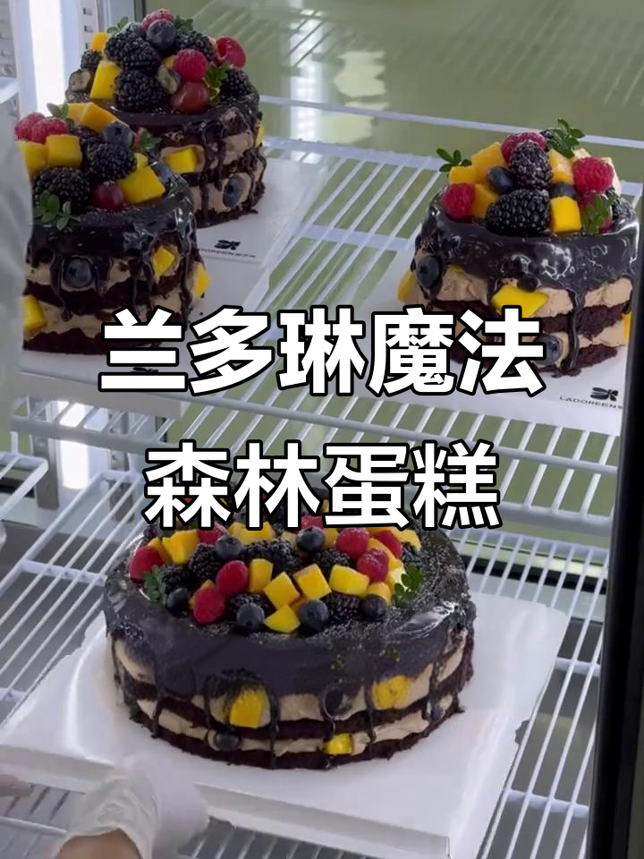 魔法森林巧克力蛋糕,芒果、树莓堆满每一层!