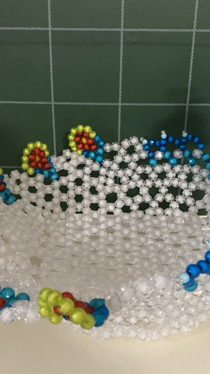 妈妈的手工串珠—孔雀果盘