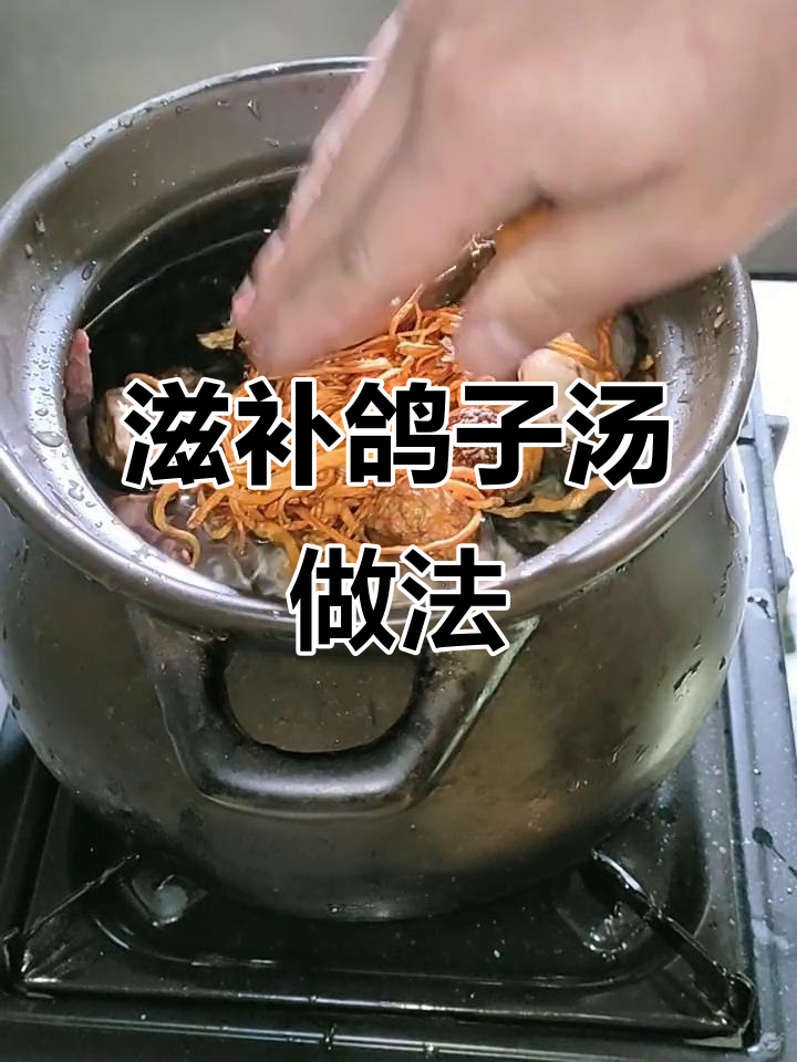 鸽子汤暖心又营养,砂锅炖法教你做