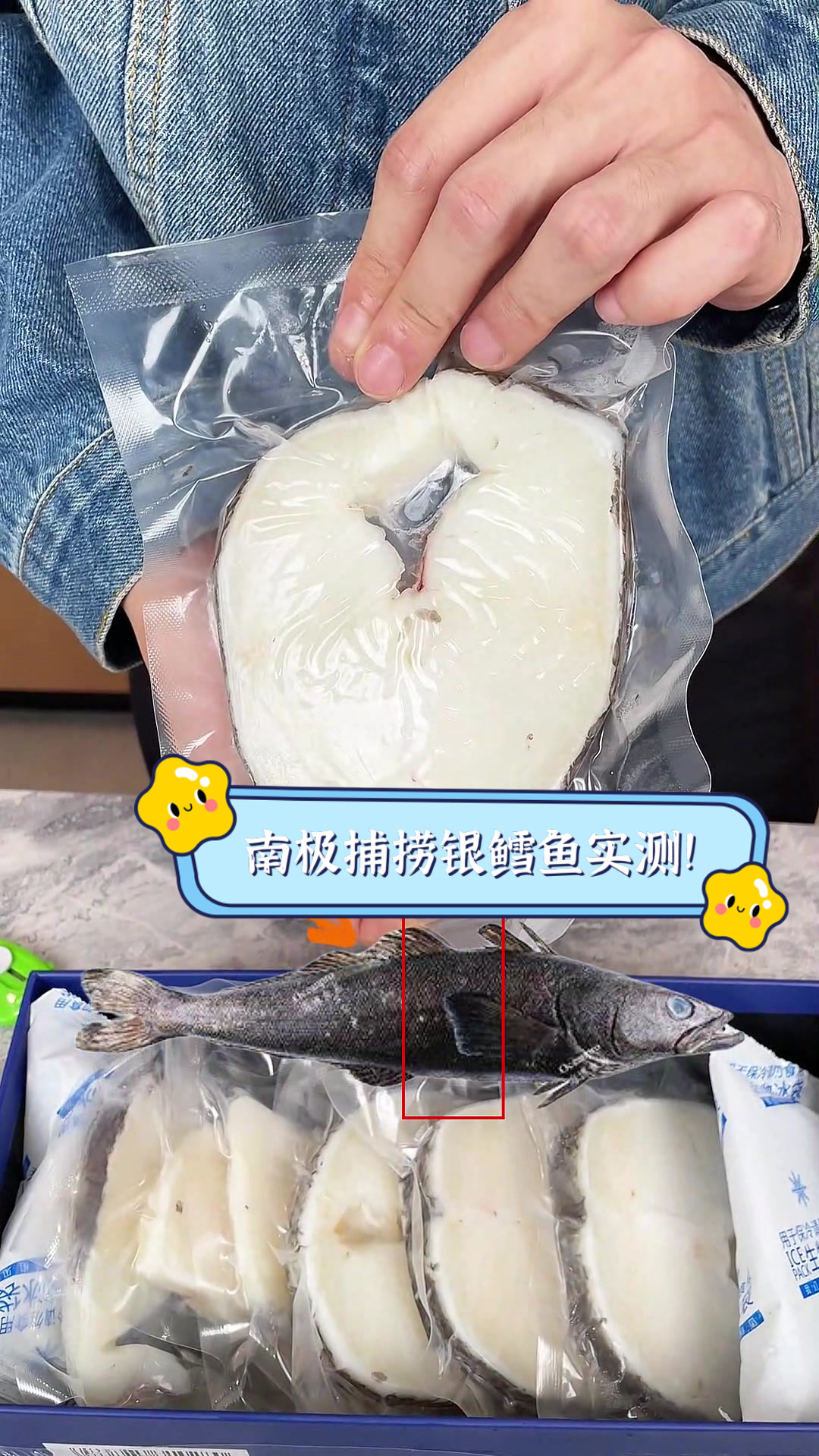 南极捕捞银鳕鱼实测！