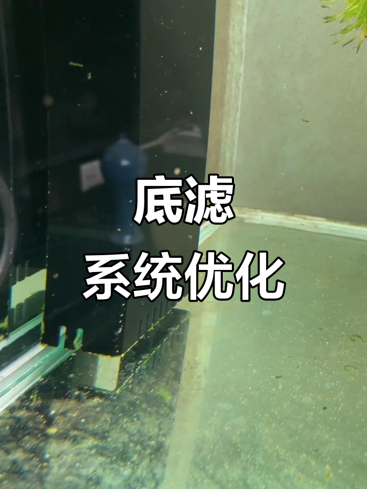 底滤鱼缸改造,孔位缩小提升吸力,水位调节更高效