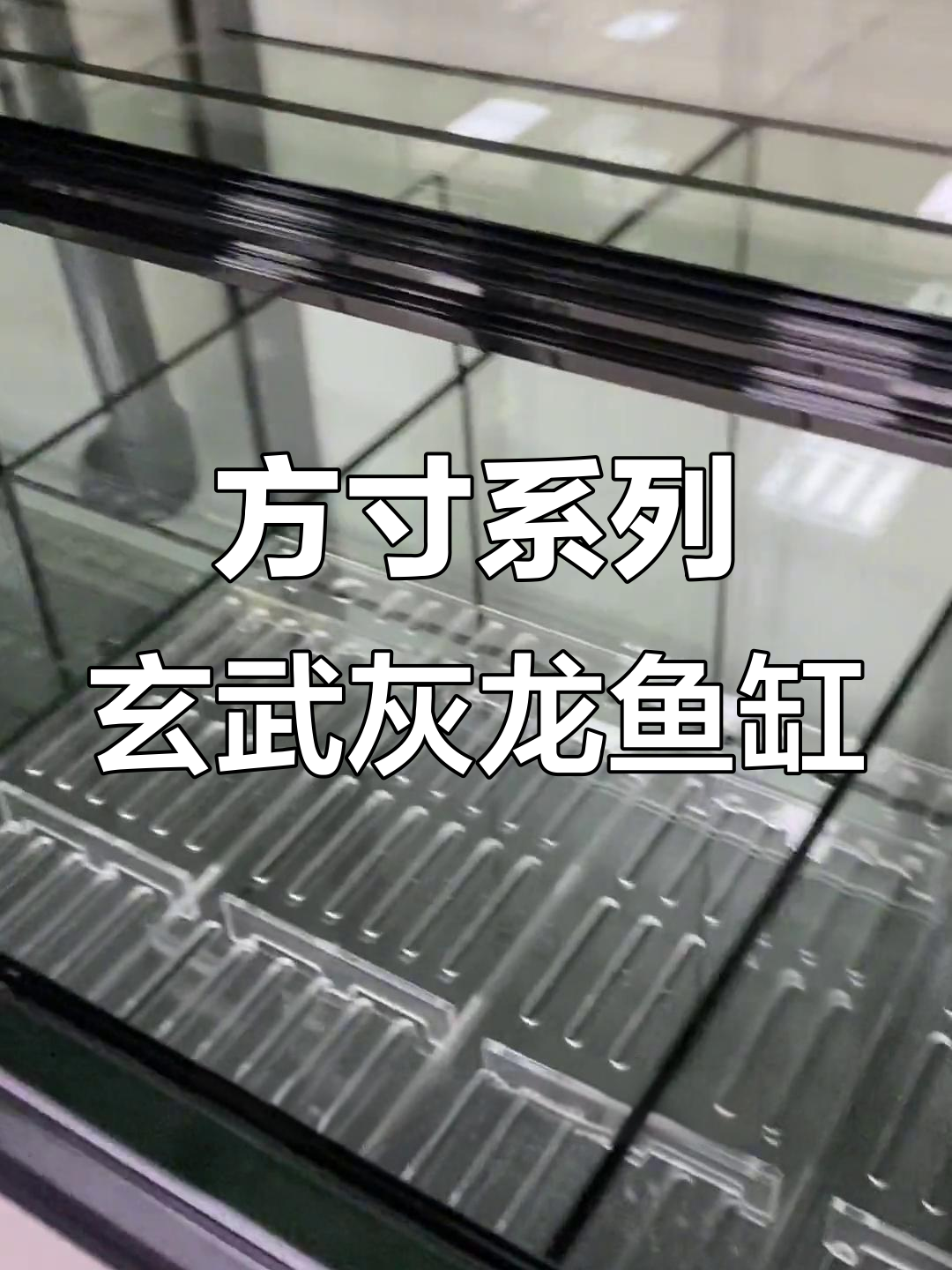 博特方寸系列玄武灰龙鱼缸：超强过滤与豪华底柜设计