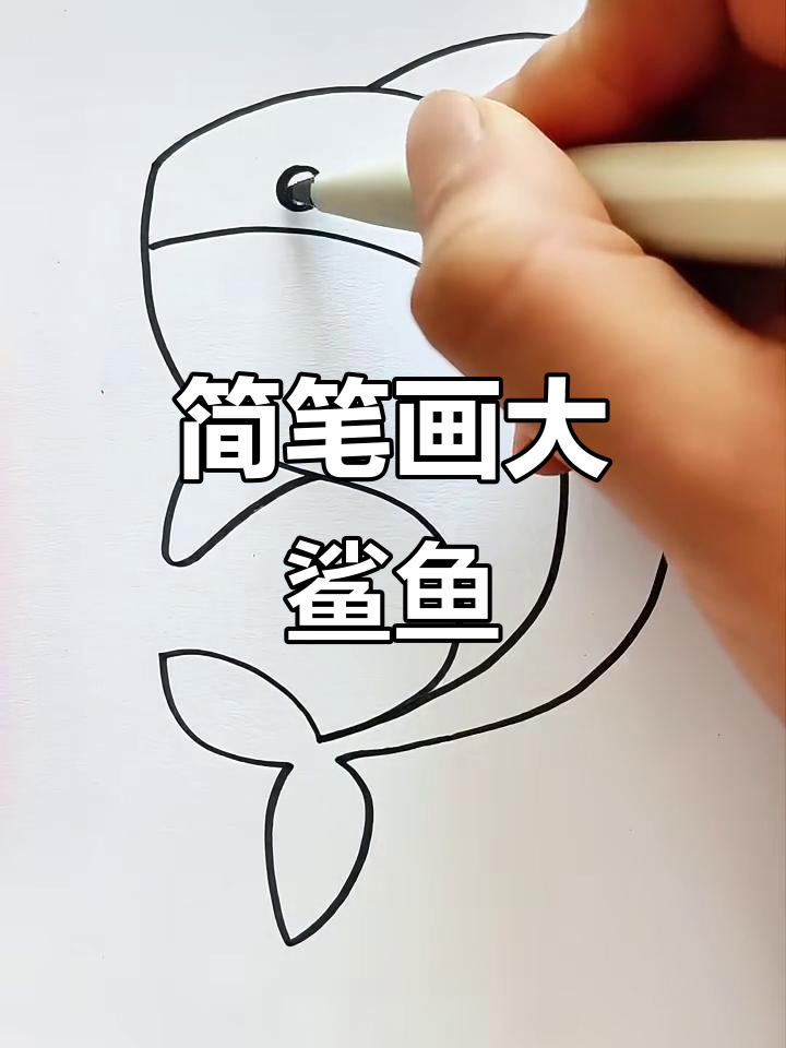 用S字母轻松画大鲨鱼，简单又有趣！