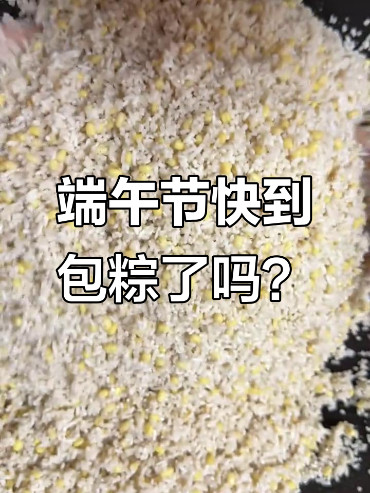 湛江特色粽子,鲜香十足让人怀念