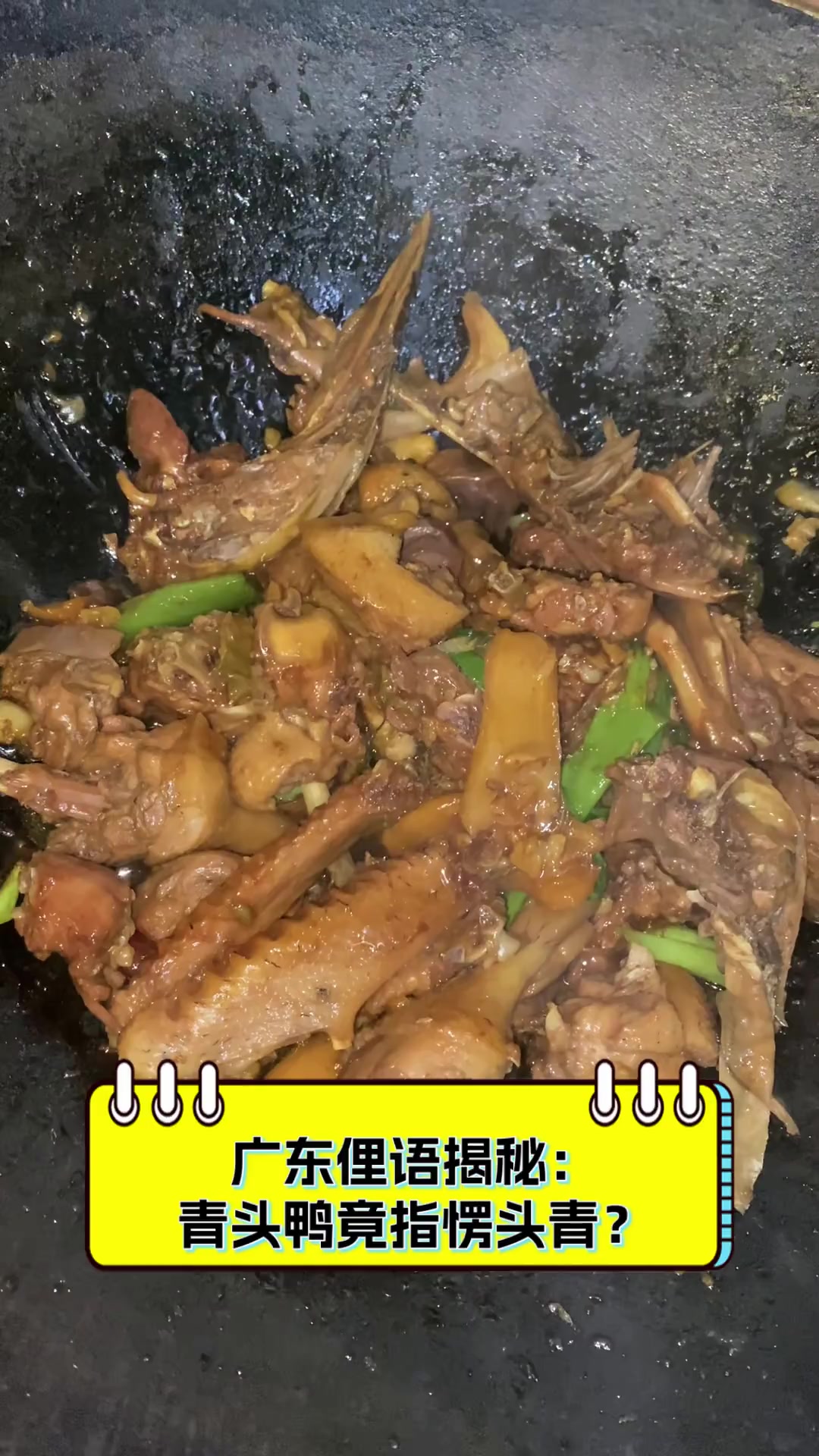 广东俚语揭秘:青头鸭竟指愣头青?