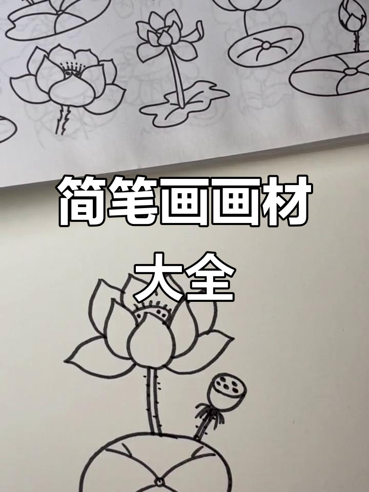 简笔画全覆盖,植物动物人物水果蔬菜一网打尽!