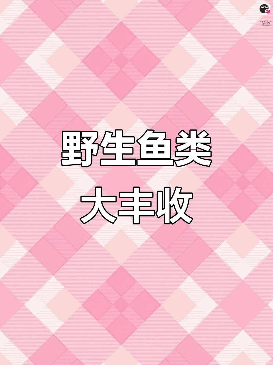 开海后野生鱼大丰收,本海鲅鱼和花花鱼的绝妙表现