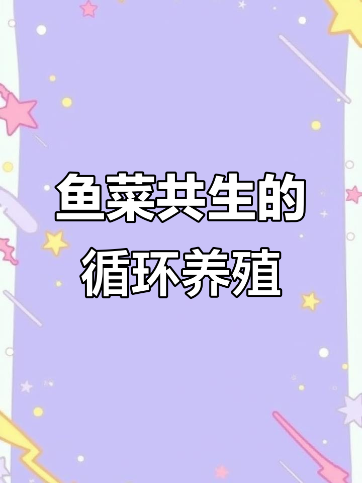 鱼菜共生循环水养殖系统:从过滤到植物生长全过程