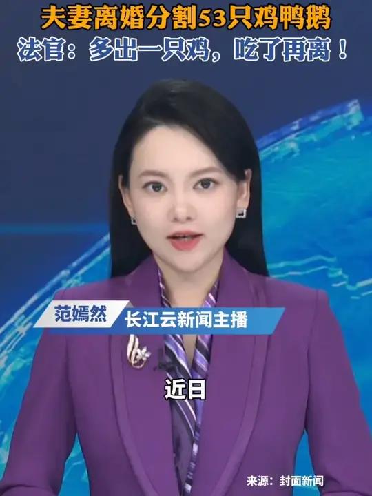 夫妻离婚多出一只鸡法院调解吃了离