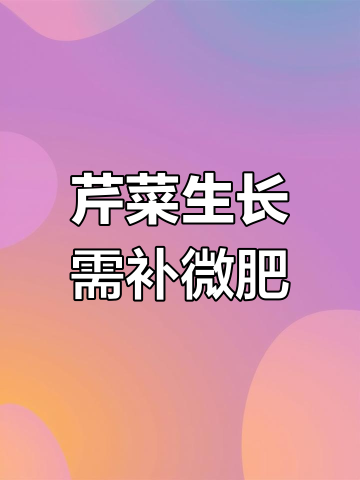 芹菜种植必知微肥补充技巧,钙镁硼不可忽视