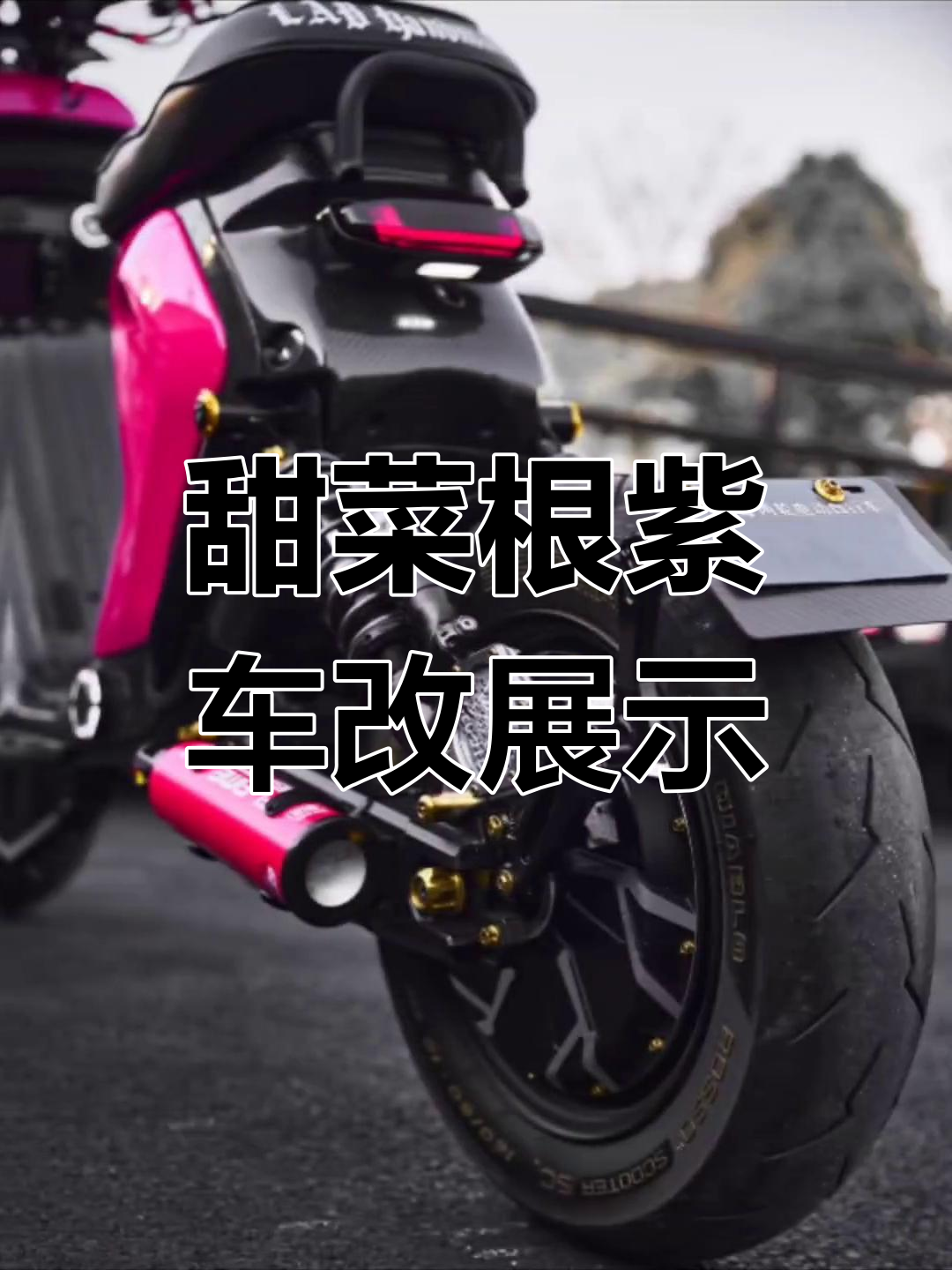 2023流行色:甜菜根紫车主改装效果揭秘