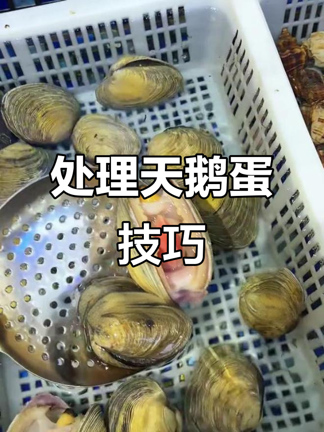 轻松处理天鹅蛋,肉质鲜美又简单