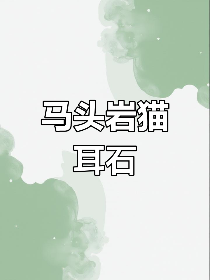 猫耳石肉桂:马头岩的独特风味