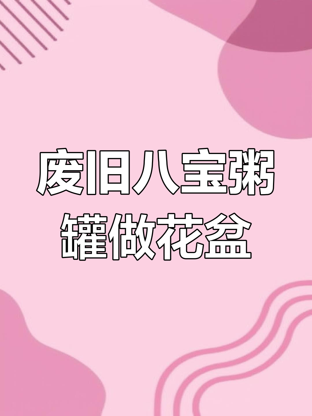 八宝粥罐变花盆,竟然能养多肉!
