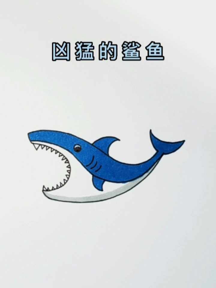 一看就会的鲨鱼简笔画