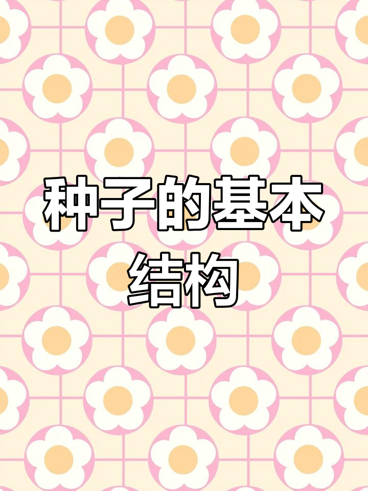 种子结构揭秘:菜豆与玉米的差异