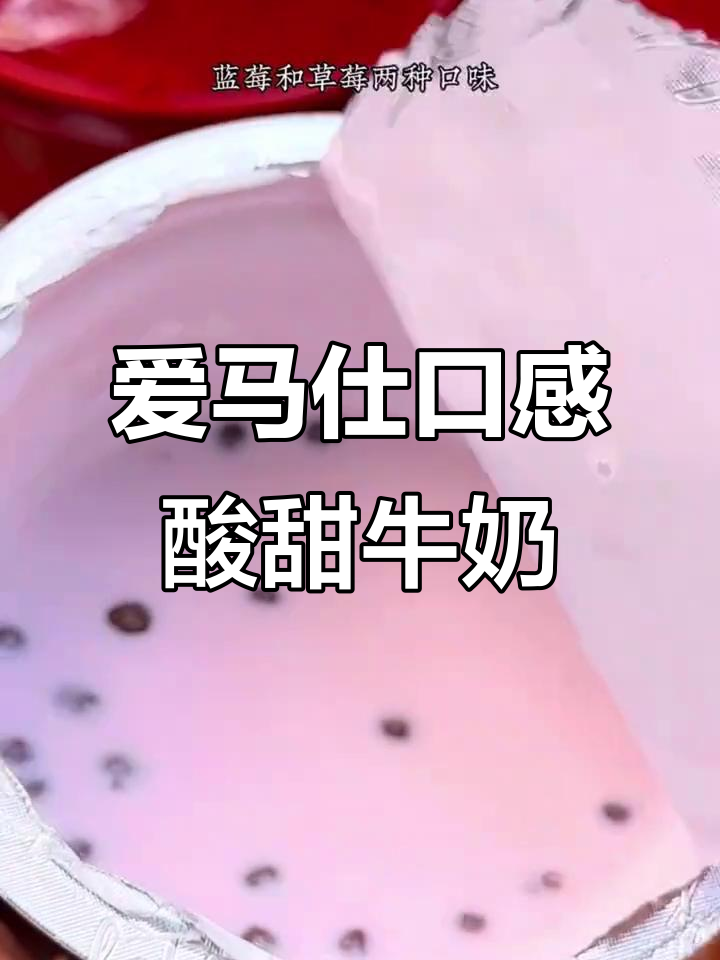 进口巧克力豆与蓝莓草莓的完美结合,酸奶新宠让人停不下来