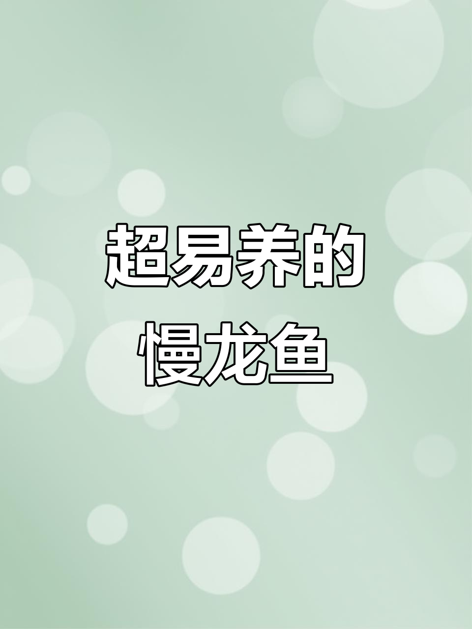 神奇龙鱼,超低身价却能轻松养活!