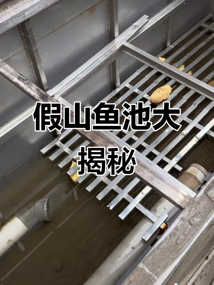 揭秘假山鱼池改造,细节决定成败!