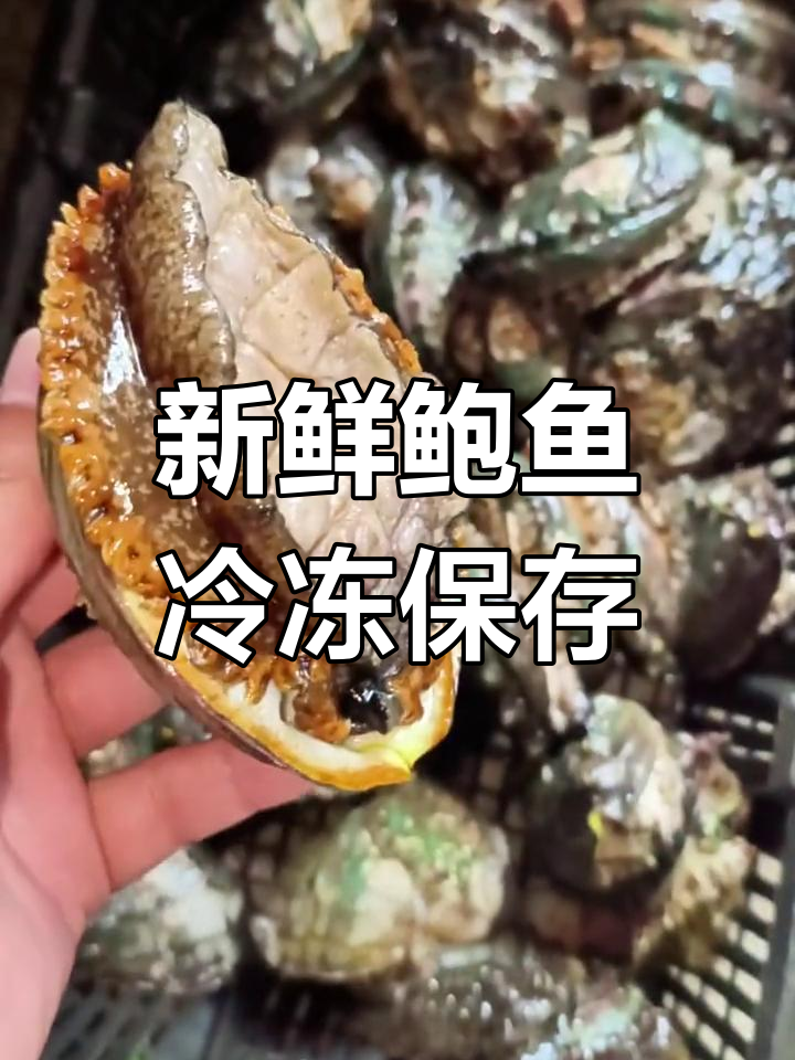 鲍鱼活杀速冻,口感不变鲜美如初