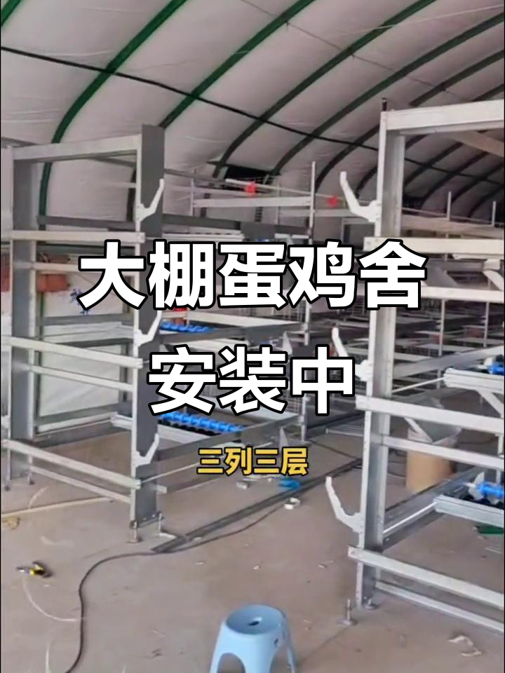 安徽砀山大棚式蛋鸡舍安装进展,养殖户可参观学习