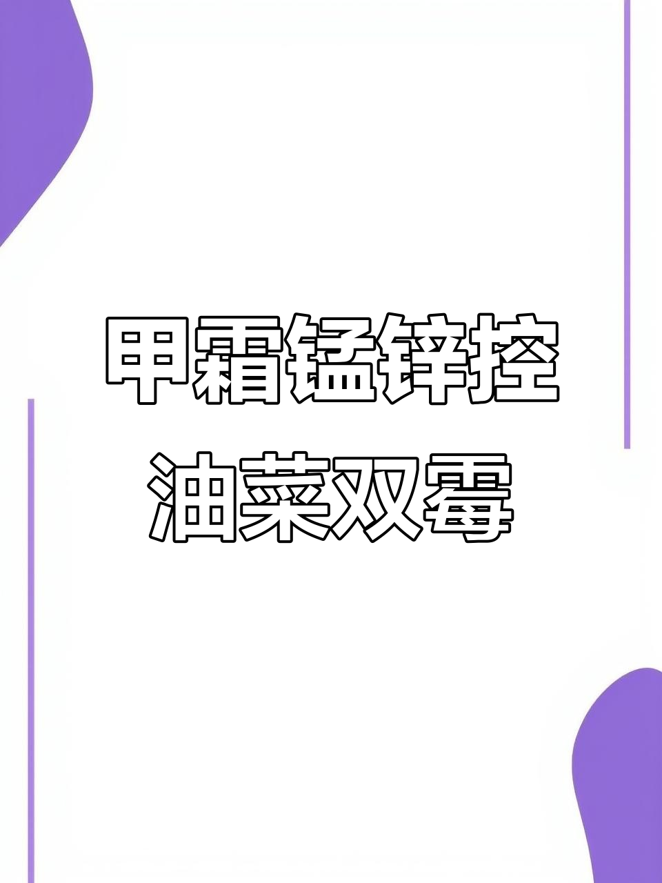 油菜霜霉病防治全攻略:甲霜锰锌帮你搞定