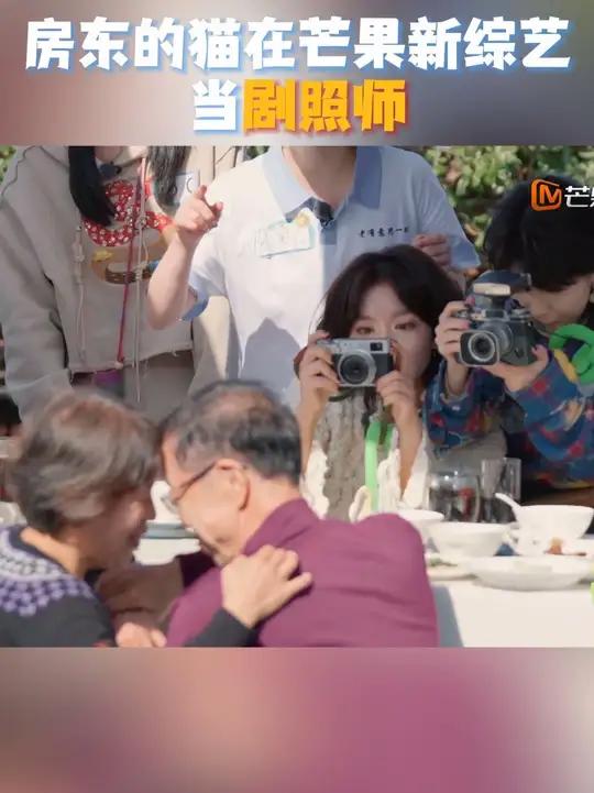 捕捉光影,定格美好,房东的猫旅行出片不停歇,快给咱们老有意思旅行社御用摄影师加鸡腿!