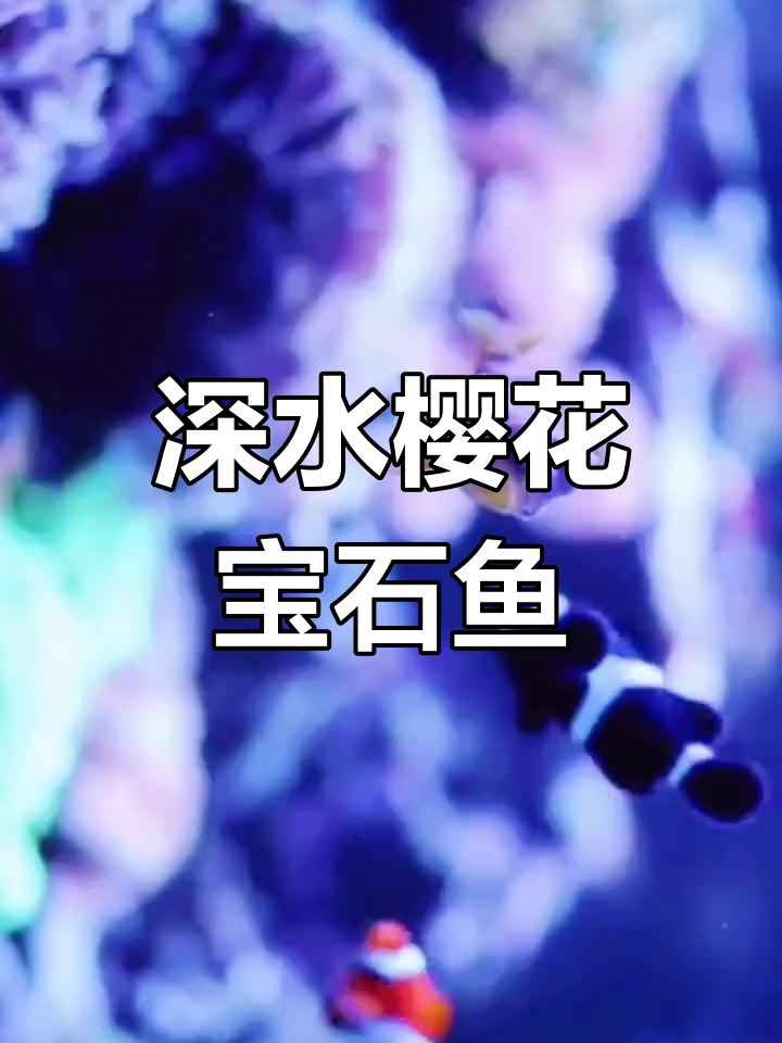 南海深海钓鱼奇遇:丹斑牙鱼