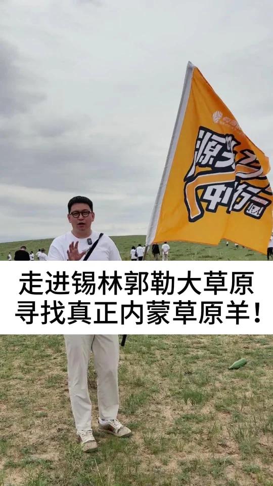 走进锡林郭勒大草原,寻找真正内蒙草原羊!