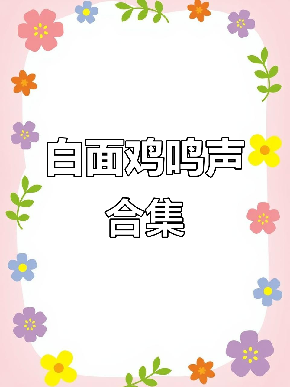 白面鸡叫声大集合，超有趣！