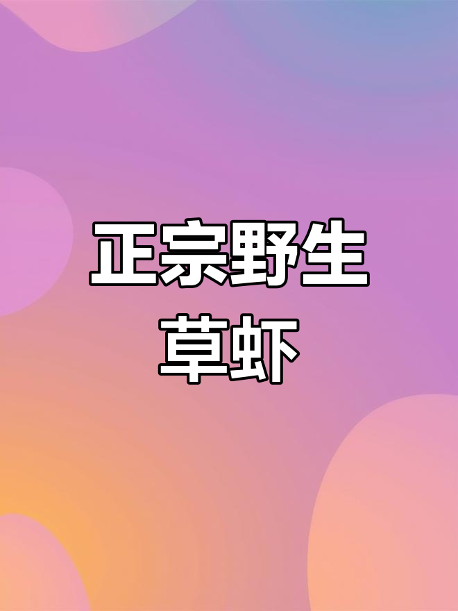 青山大水库的野生草虾,炒炖都美味!