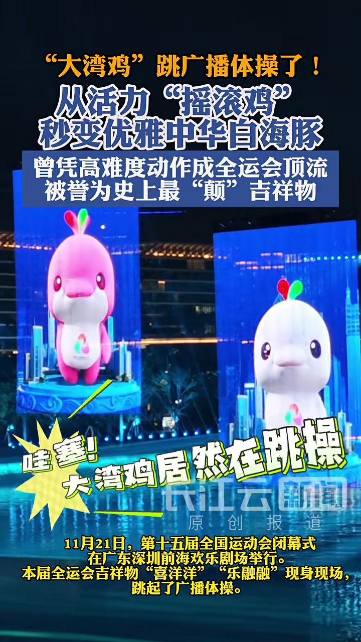 “大湾鸡”跳广播体操了!从活力“摇滚鸡”秒变优雅中华白海豚