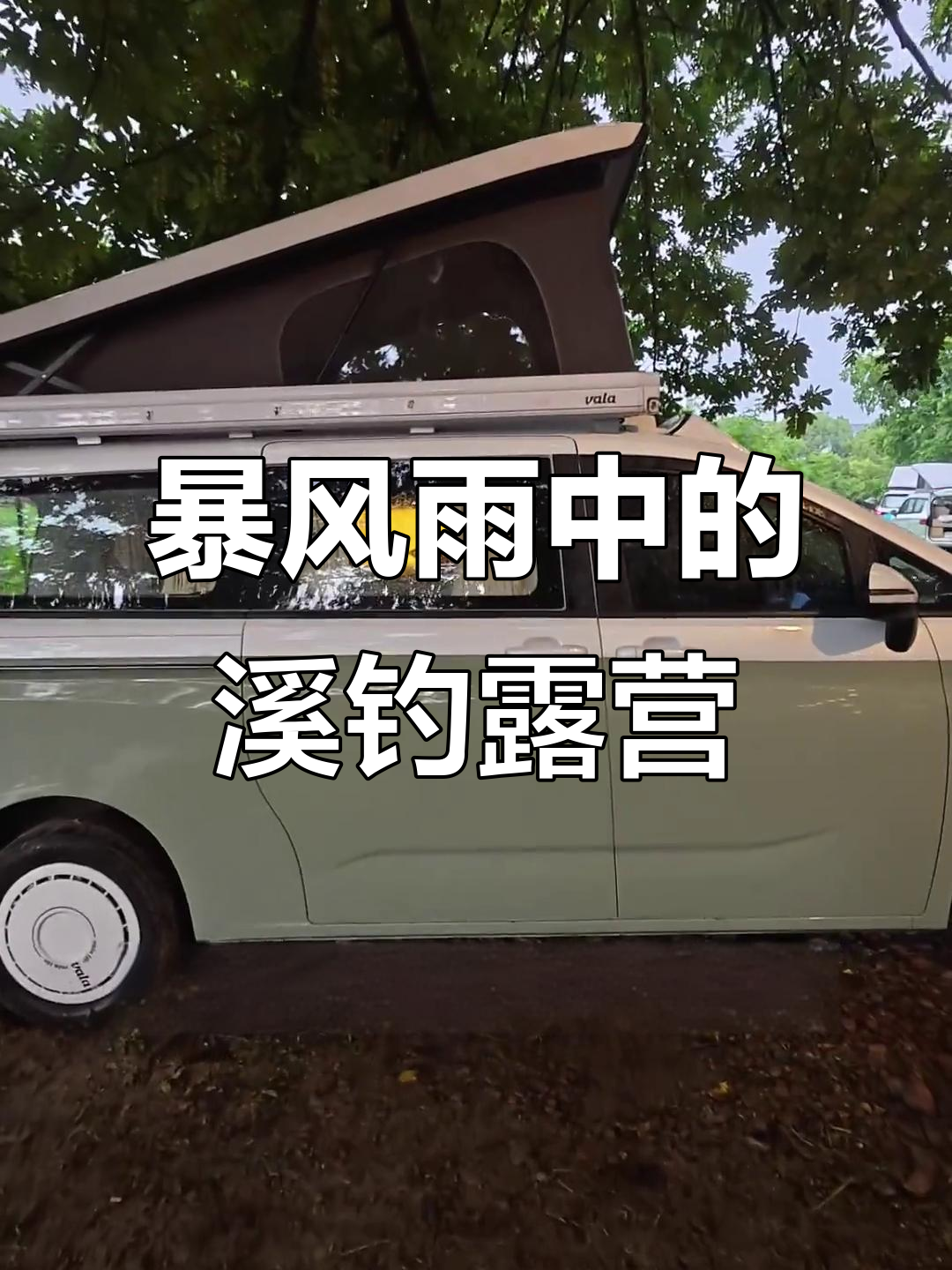 暴雨中森林溪边钓鱼露营，体验前所未有的清新与刺激