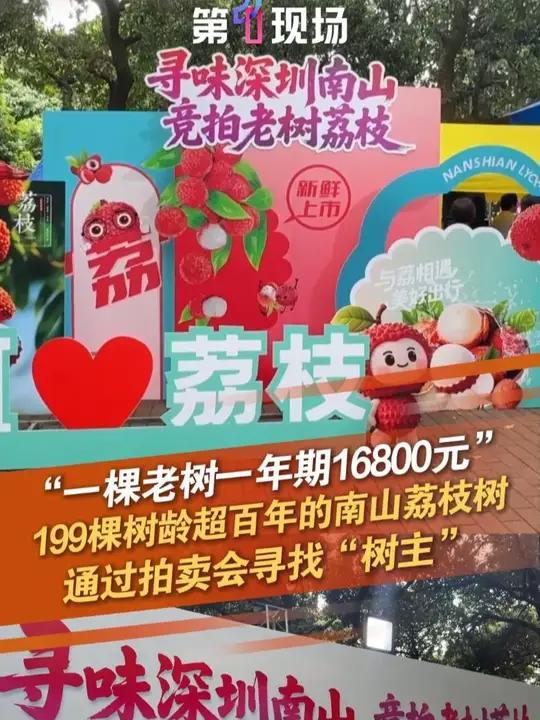 5月28日,广东深圳,一棵老树一年期16800元,南山区西丽果场与深圳文化产权交易所承办的