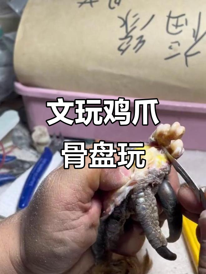 鸡爪骨盘玩技巧,越盘越亮如玉