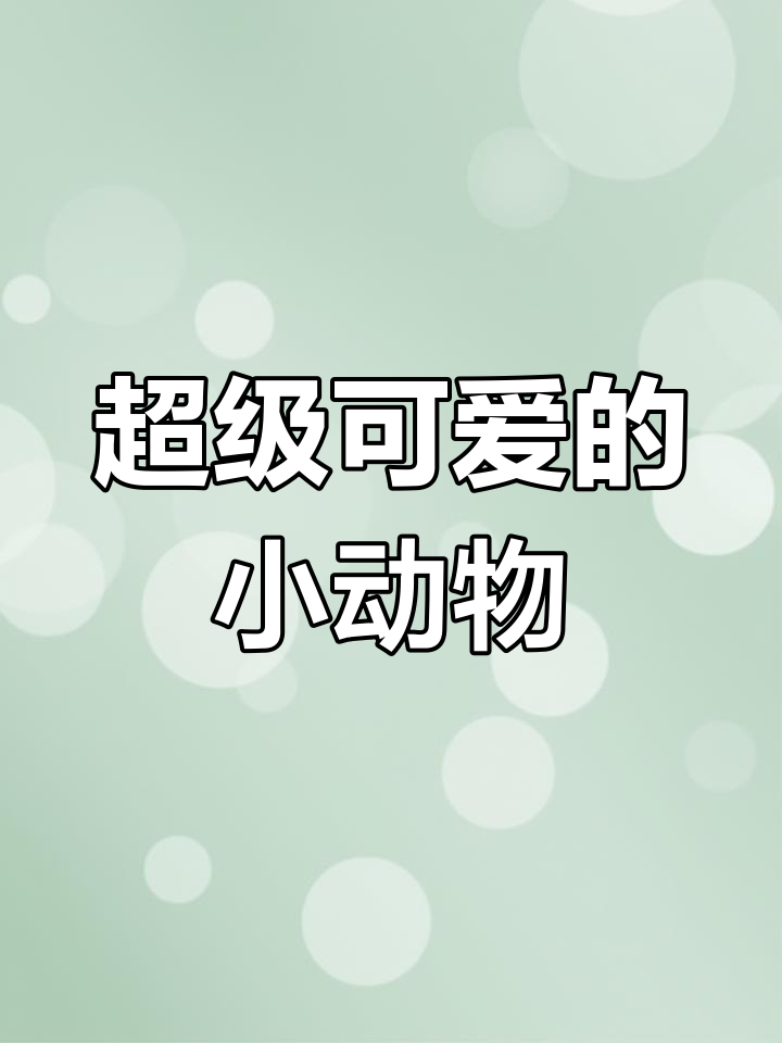小牛和小鲨鱼的搞笑对话,太可爱了!