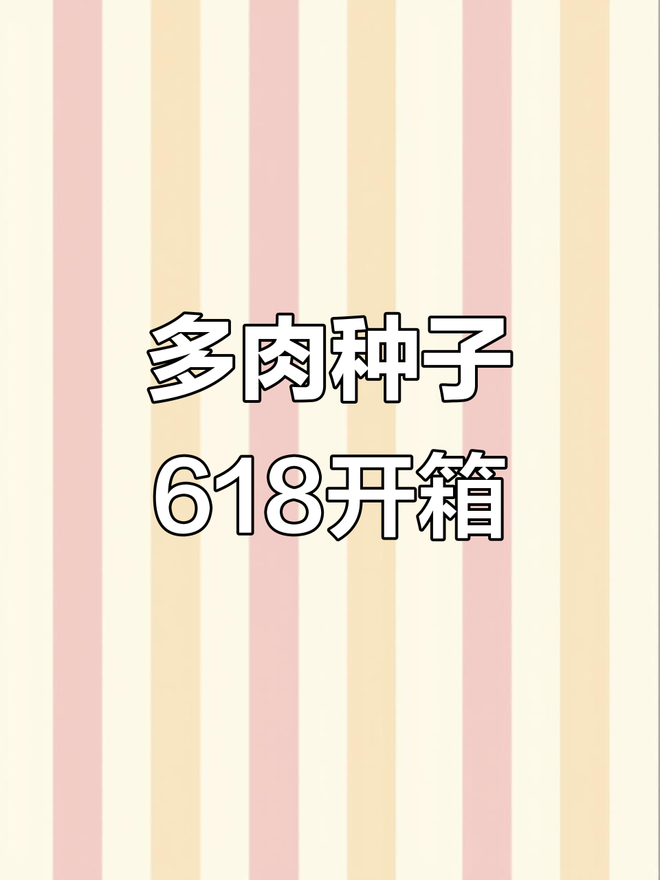 熊多多花园618开箱，多肉种子大揭秘！