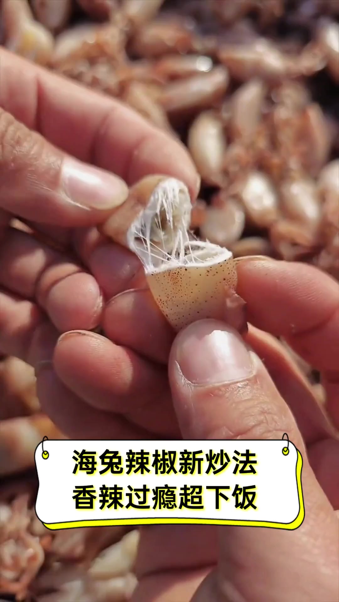 海兔辣椒新炒法,香辣过瘾超下饭