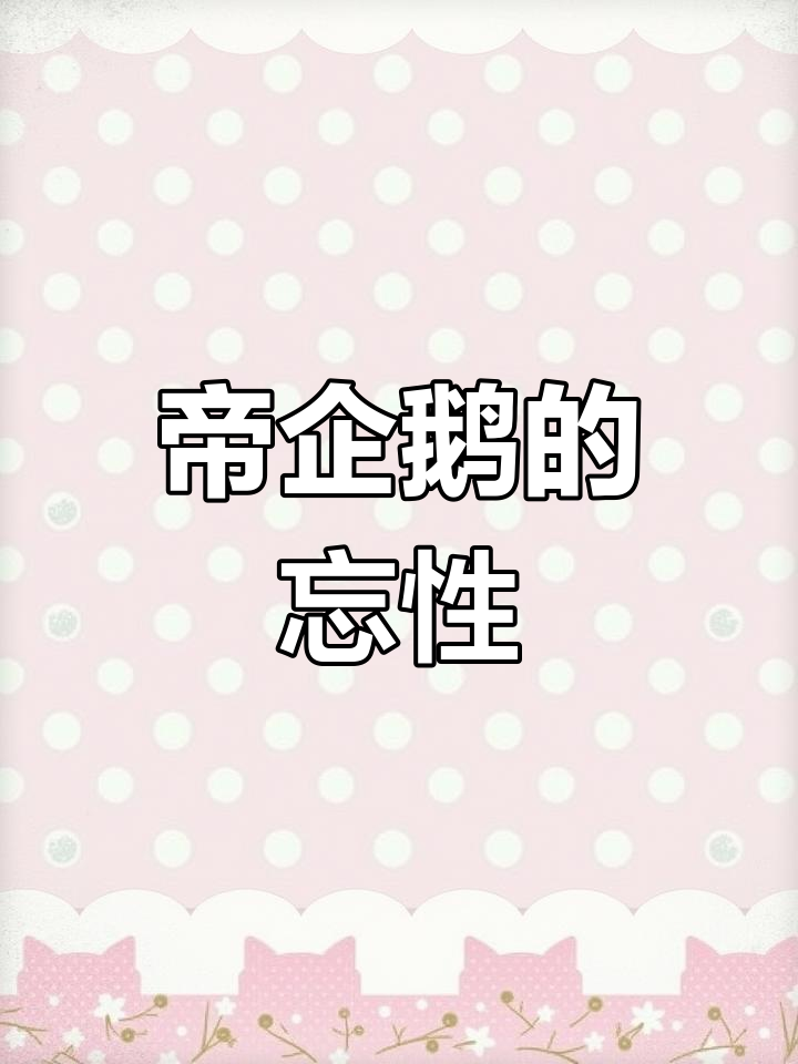 帝企鹅为何会忘记伴侣?认错时它们怎么办?