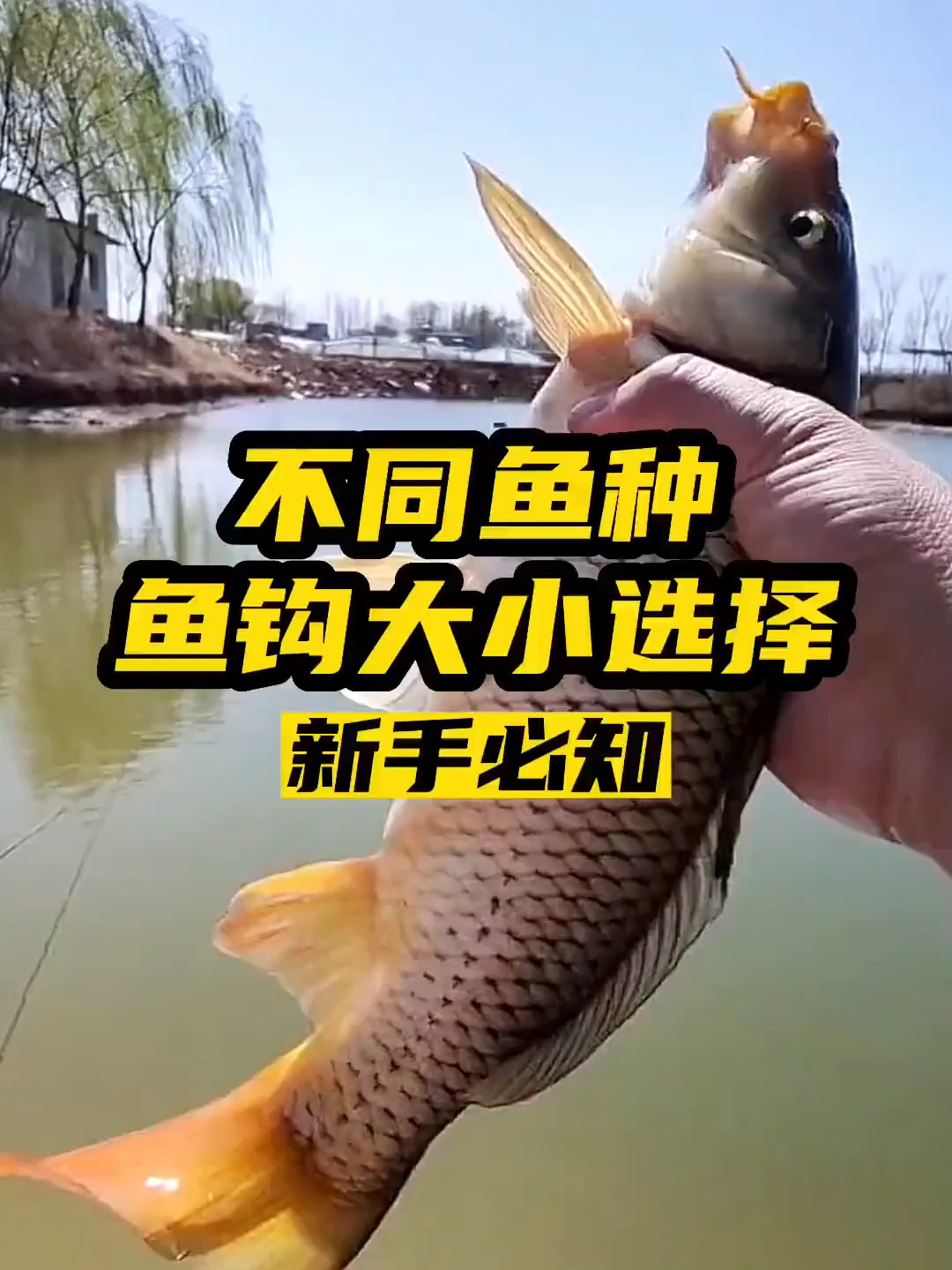 钓鱼知识分享(怎么选择鱼钩)