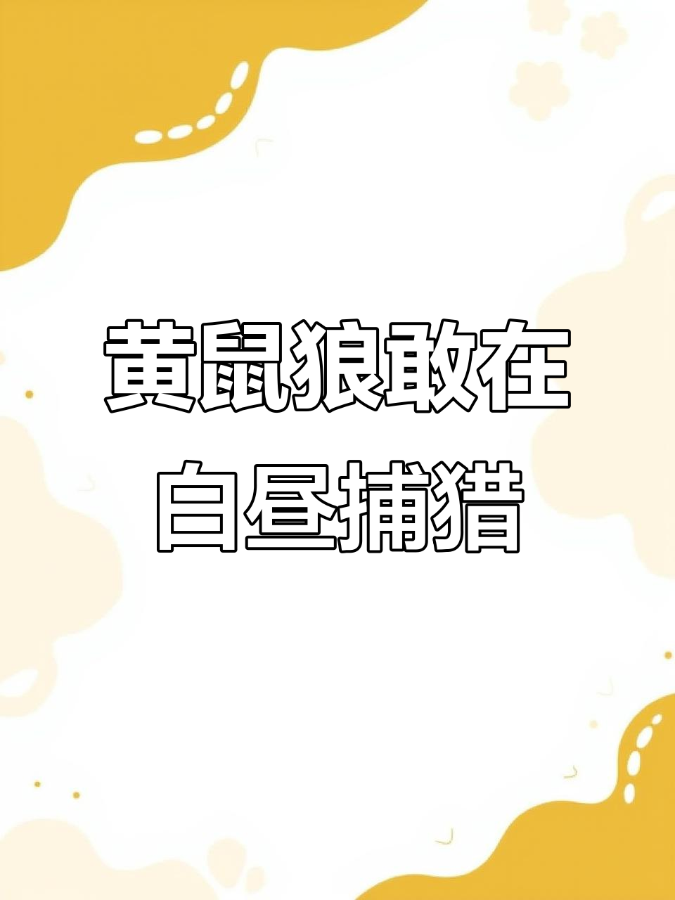 黄鼠狼大白天偷鸡,母鸡奋力反击却被撂倒