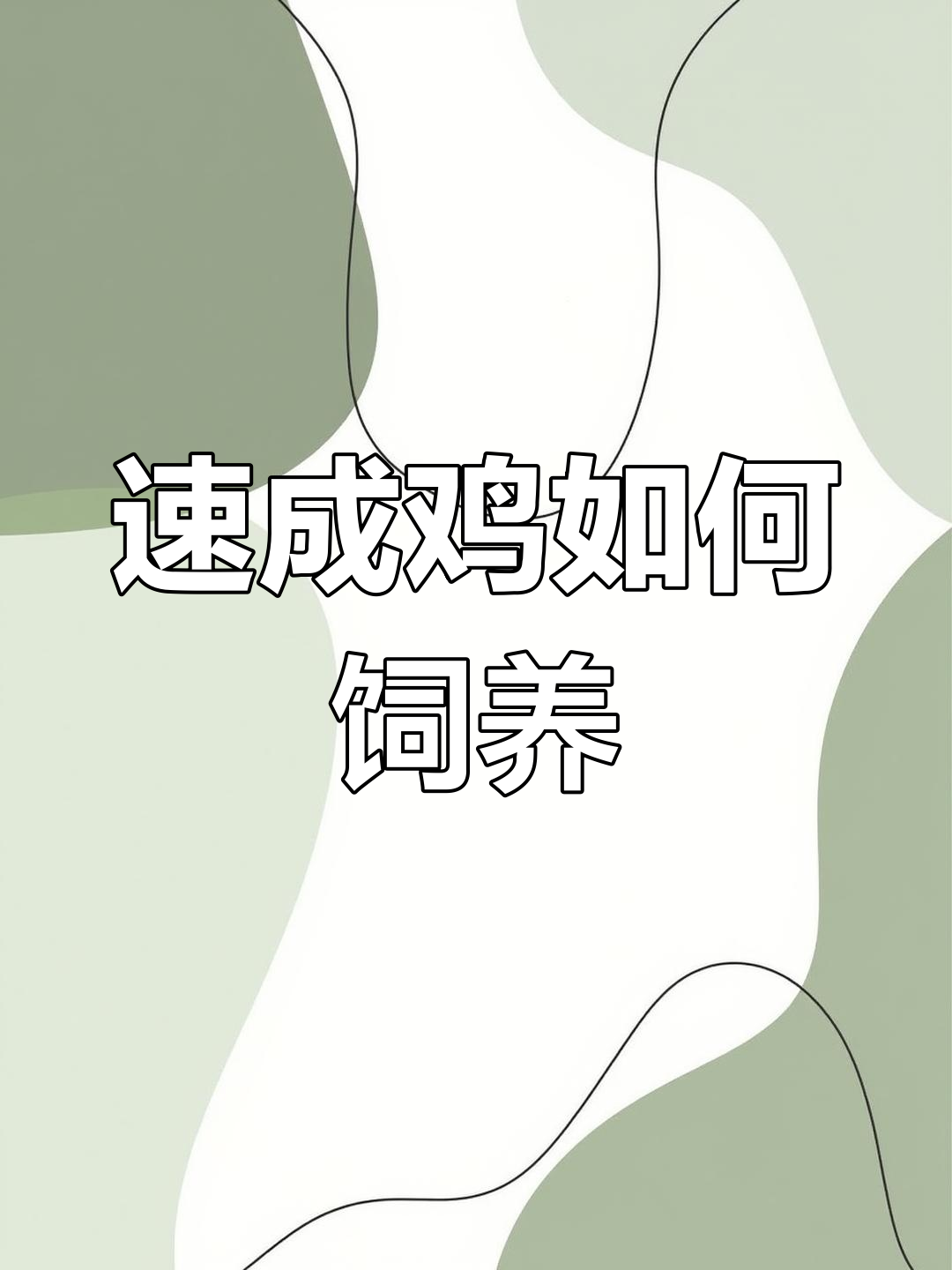 速成鸡养殖全过程揭秘:从孵化到餐桌