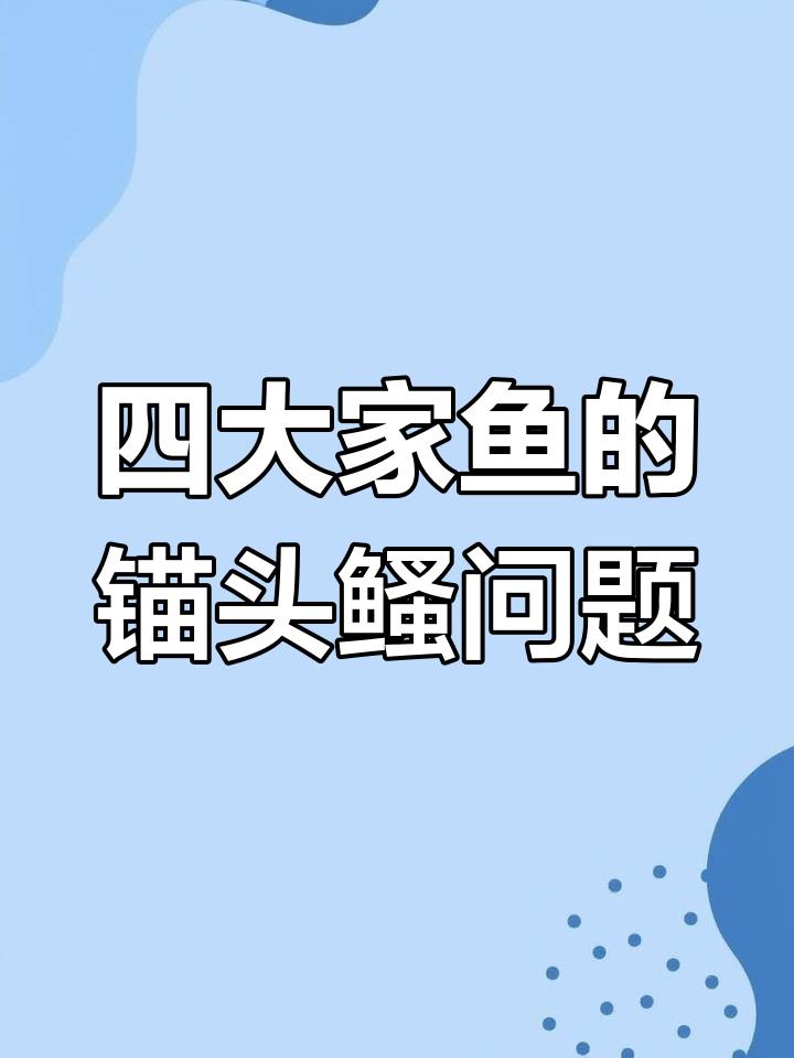 锚头鳋病:顽固寄生虫如何影响四大家鱼养殖