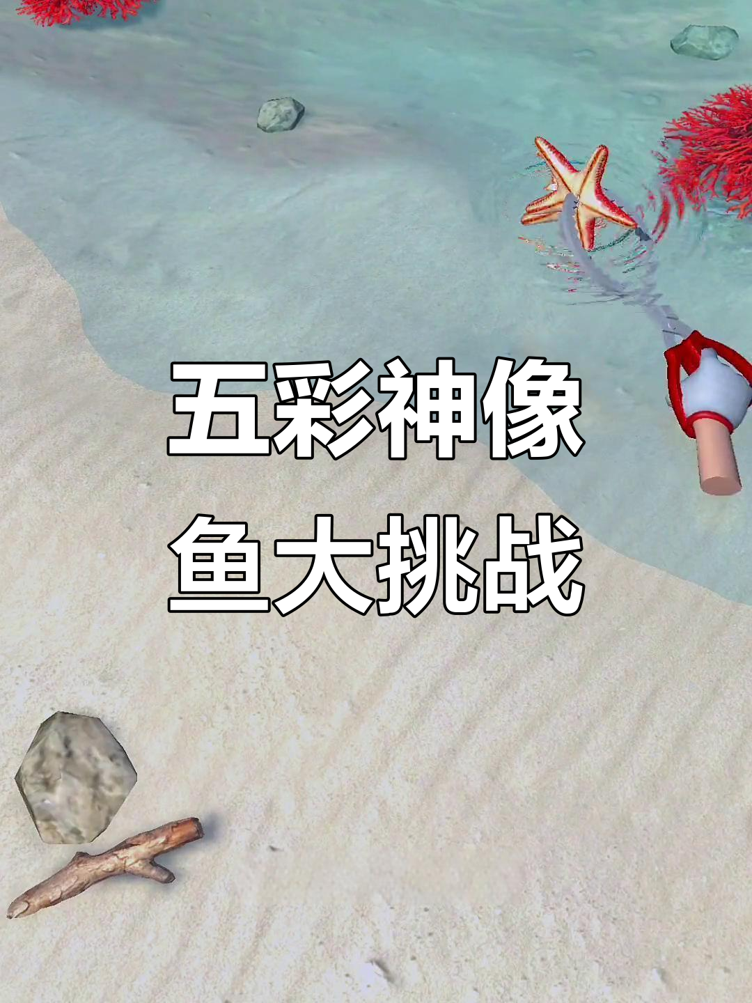 赶海抓五彩神仙鱼,女生点赞超多!