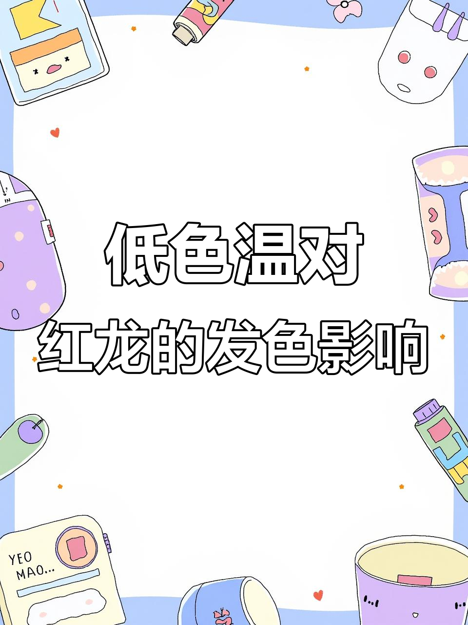 红龙鱼缸灯光选择:低色温灯到底好不好?