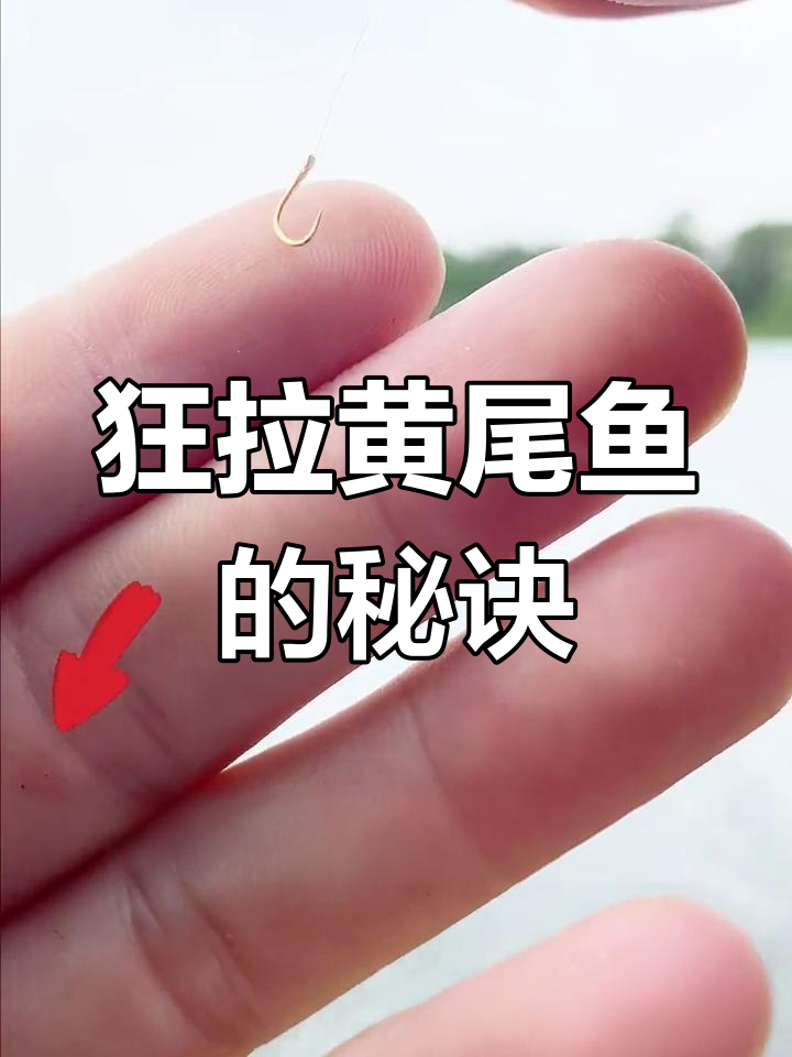 黄尾鱼钓法全攻略,三大技巧提升钓鱼效率