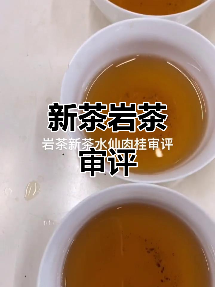 岩茶新茶审评:水仙肉桂香气与口感分析